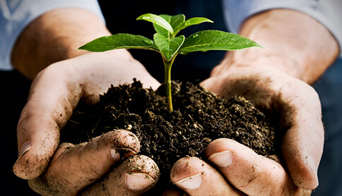 Knowledge & experience